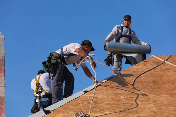 Best Metal Roofing Contractor  in Crump, TN
