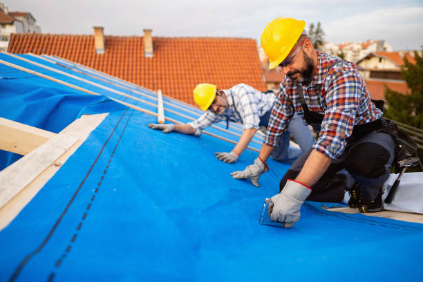 Best New Roof Installation  in Crump, TN